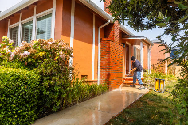 Roof Power Washing Services